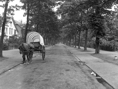 400216 Gezicht in de Prins Hendriklaan te Zeist, met links een paard met wagen.